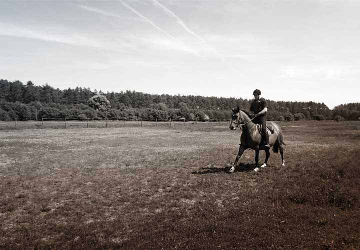 Zdjęcie Roberta Rittera na koniu